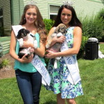 Beauty queens & puppies